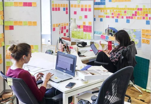 服務(wù)設(shè)計(jì)留學(xué)擇校指南 探索百花齊放的英歐院校