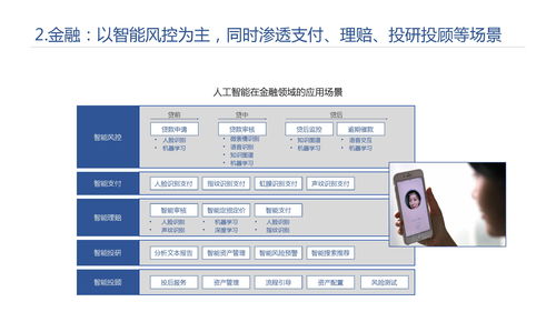 中國(guó)科學(xué)院2019年人工智能發(fā)展白皮書(shū) 人工智能基礎(chǔ)軟件開(kāi)發(fā)的關(guān)鍵突破與未來(lái)展望