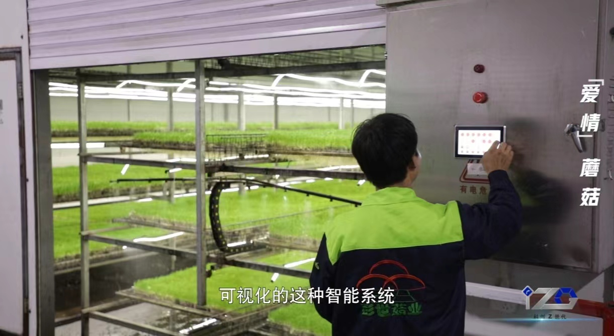 我有一根“蘑”法棒 人工智能基礎軟件開辟科創Z世代新天地